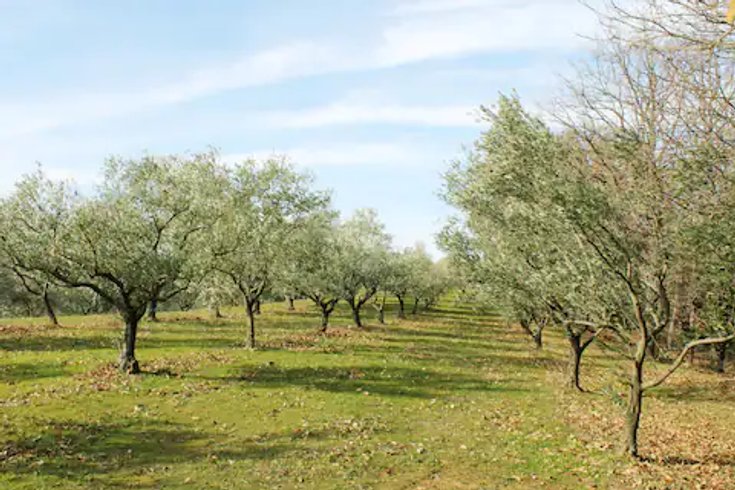 Domaine AbracadaRoom : La ferme Blandine agriculture biologique - Image 24