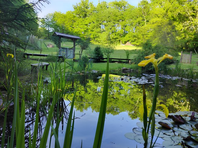 Domaine AbracadaRoom : L'Echappée Sauvage - Image 1