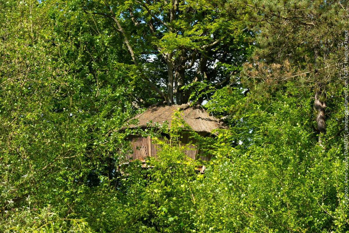 La cabane Au fil de l'Eau & Spa & Sauna à Wail (4)