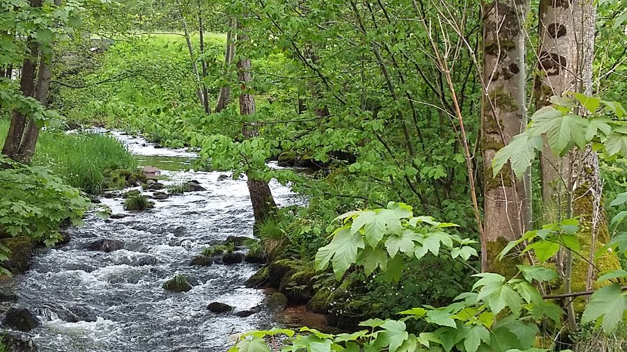 Domaine AbracadaRoom : Le Rêve de Charles - Image 6