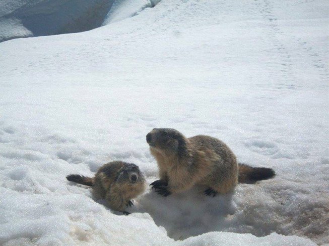 Domaine AbracadaRoom : Le Sivarol - Image 2