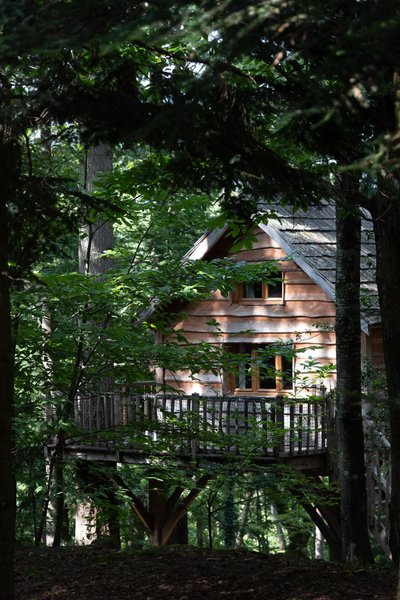 Hébergement AbracadaRoom : Cabane Panda - Image 3