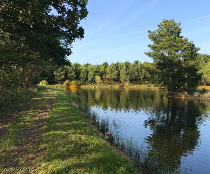 Domaine AbracadaRoom : Domaine de Lann Hallat - Image 1