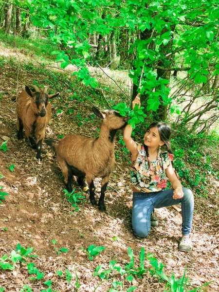 Domaine AbracadaRoom : Ô Clos d'Allas - Image 7