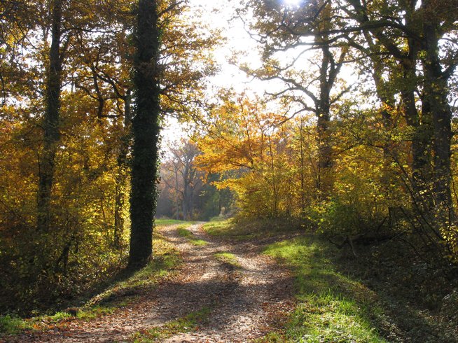 Domaine AbracadaRoom : Une Nuit aux Lierres - Image 1