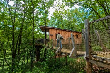 Cabane avec spa "Carrelet" PMR ou Familiale à Lamothe-Fénelon (1)