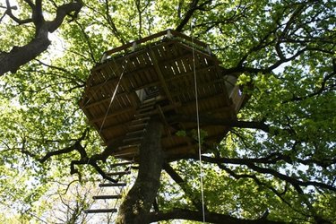 La Cabane perchée Nijal à Ploemel (2)