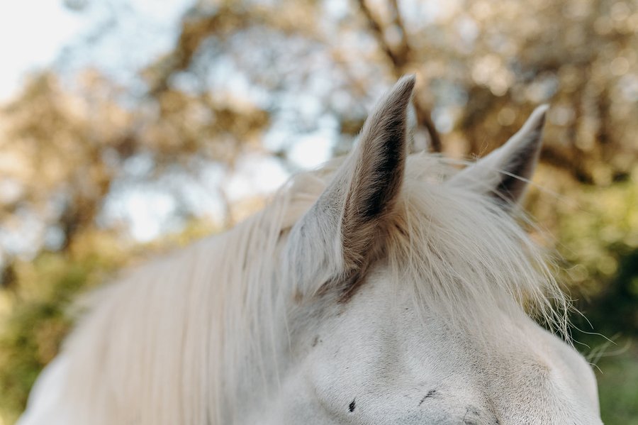 Domaine AbracadaRoom : Domaine de Biar - Image 38