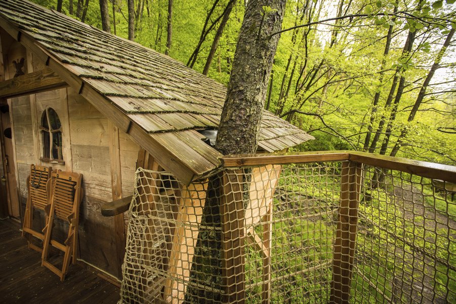 la Cabane l'Appel de la Forêt — photo 2