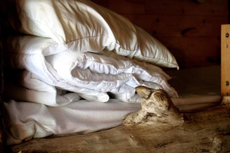 Hébergement AbracadaRoom : La cabane végétalisée pour les familles - Image 13