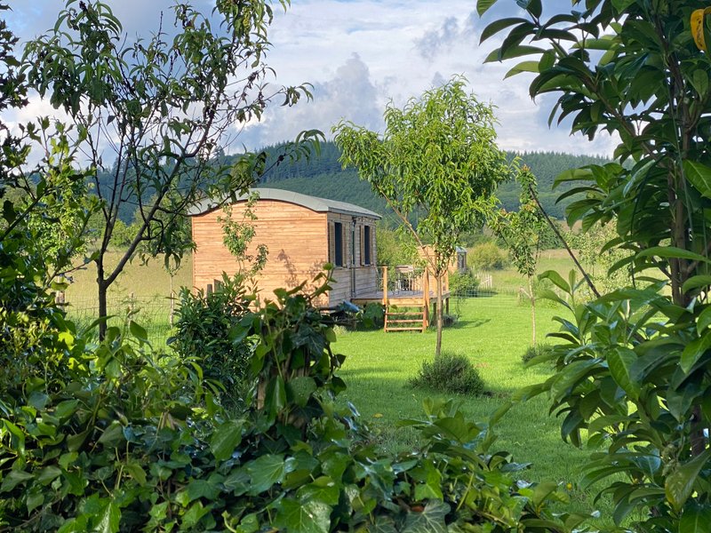 Hébergement AbracadaRoom : La roulotte du verger - Image 20