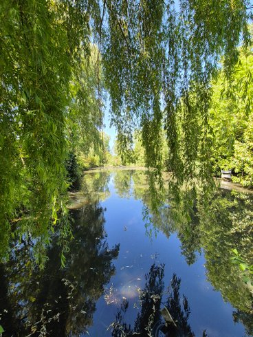 Hébergement AbracadaRoom : Dans un arbre perché - Image 30