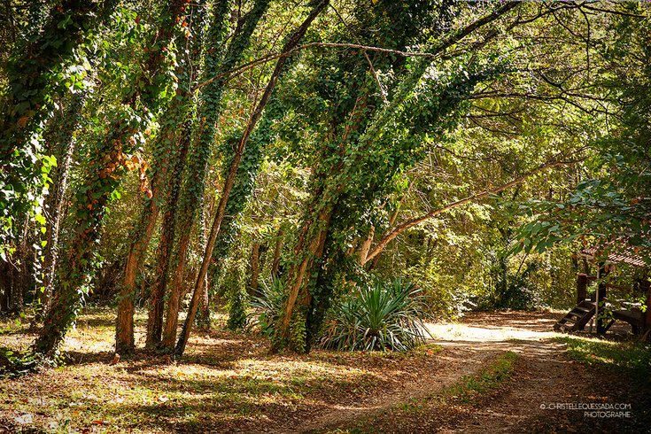 Hébergement AbracadaRoom : Lodge & spa - Image 15