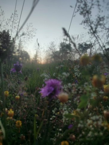 Hébergement AbracadaRoom : Le Cocon d'Iris - Image 24