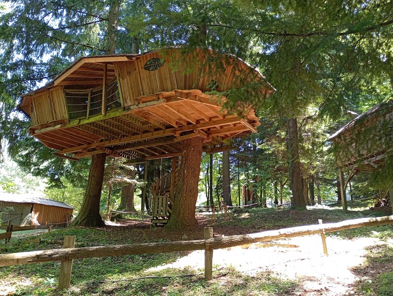 Hébergement AbracadaRoom : Cabane Castor - Image 3