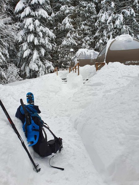 Domaine AbracadaRoom : Dôme Nature Bernex - Image 2