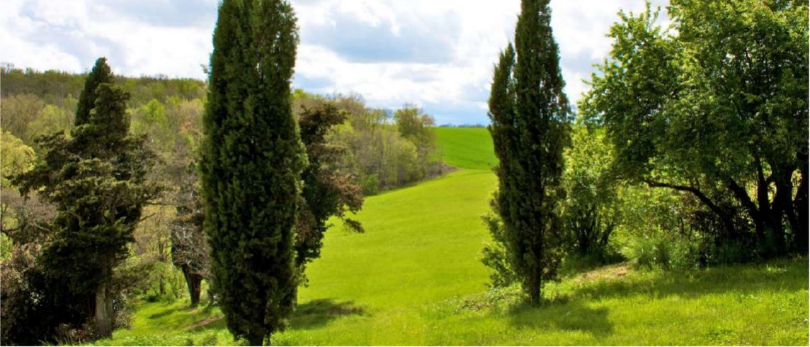 Domaine AbracadaRoom : Fajac la Selve - Image 6