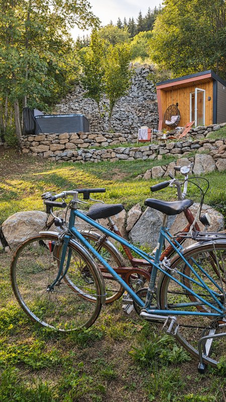 Cabane Là-Haut & SPA à Borée (3)