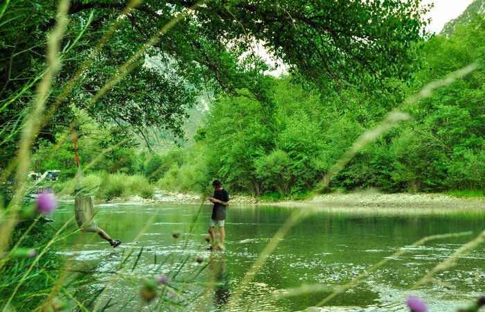 Le Dôme Etoiles : Dôme en Provence-Alpes-Côte d'Azur