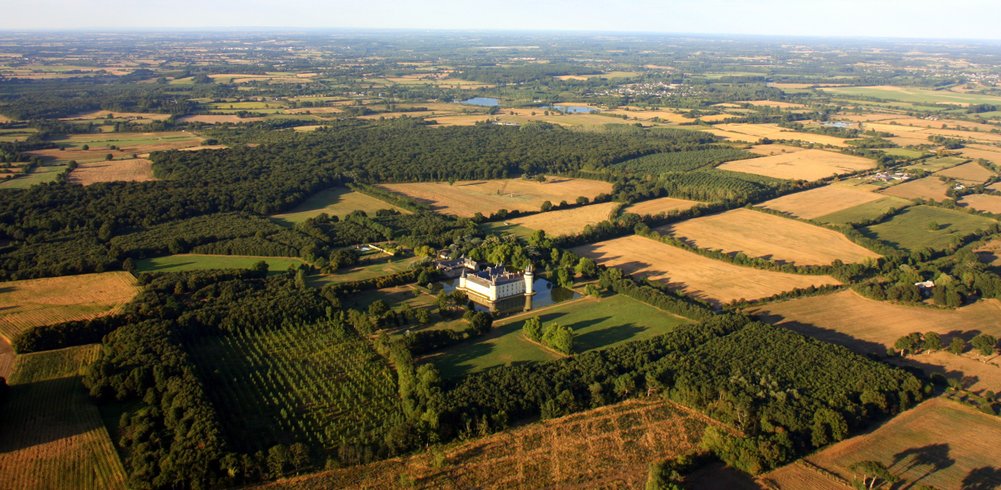 Domaine AbracadaRoom : Château du Plessis-Bourré - Image 7