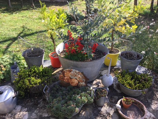 Domaine AbracadaRoom : le Mas de Lagraville Haute - Image 3