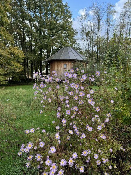 Hébergement AbracadaRoom : Le P'tiot Utau - Image 3