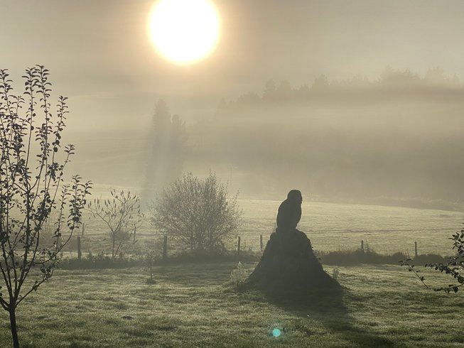 Hébergement AbracadaRoom : La roulotte du verger - Image 19