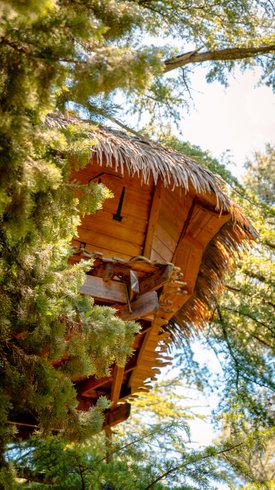 Hébergement AbracadaRoom : Grand duc - Image 6