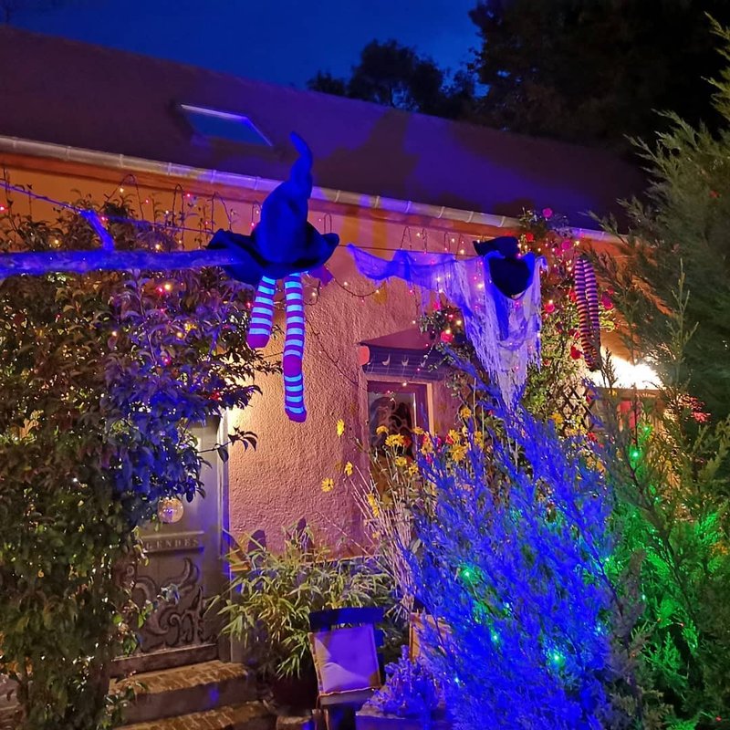 La Suite Voltige à Muidorge (12)