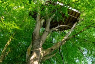 Cabane dans les arbres Calvados
