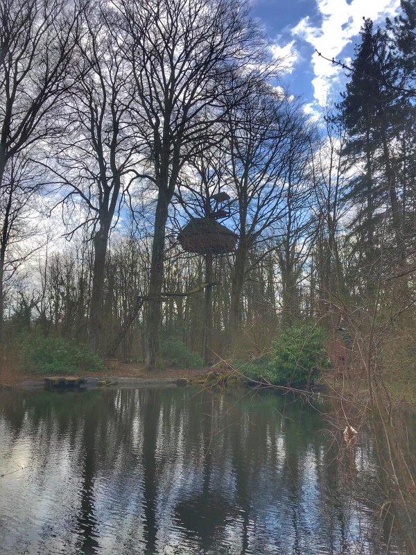 La cabane Haut-Perchée & Spa à Wail (2)