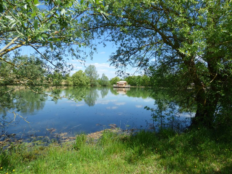 Hébergement AbracadaRoom : Cabane des Saules - Image 14
