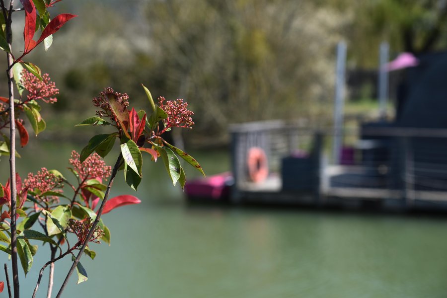 Hébergement AbracadaRoom : Lodge Duo Flottant Les Preuses Spa et sauna privé - Image 6