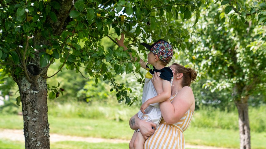 Domaine AbracadaRoom : Village des Monédières - Image 7