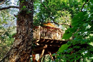 La Cabane Perchée d'Hossegor & Spa