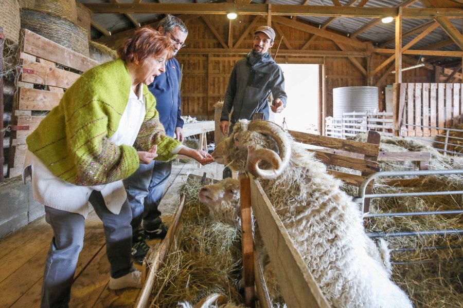 Domaine AbracadaRoom : Parcel Tiny House - face aux Pyrénées proche Toulouse - Image 18