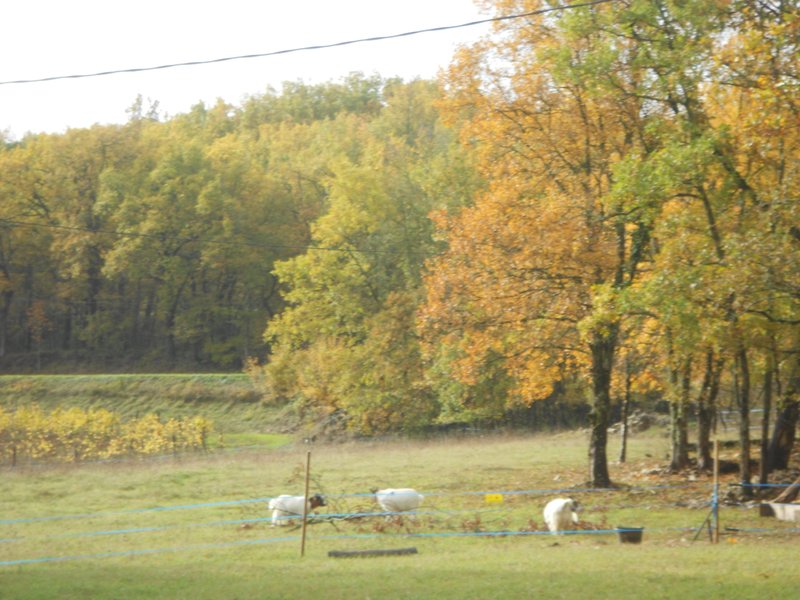 Domaine AbracadaRoom : Domaine des Calosses - Image 2