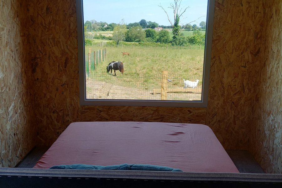 Ecolodge premium avec bain nordique privatif — photo 2