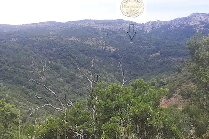 Domaine AbracadaRoom : La ferme Blandine agriculture biologique - Image 21