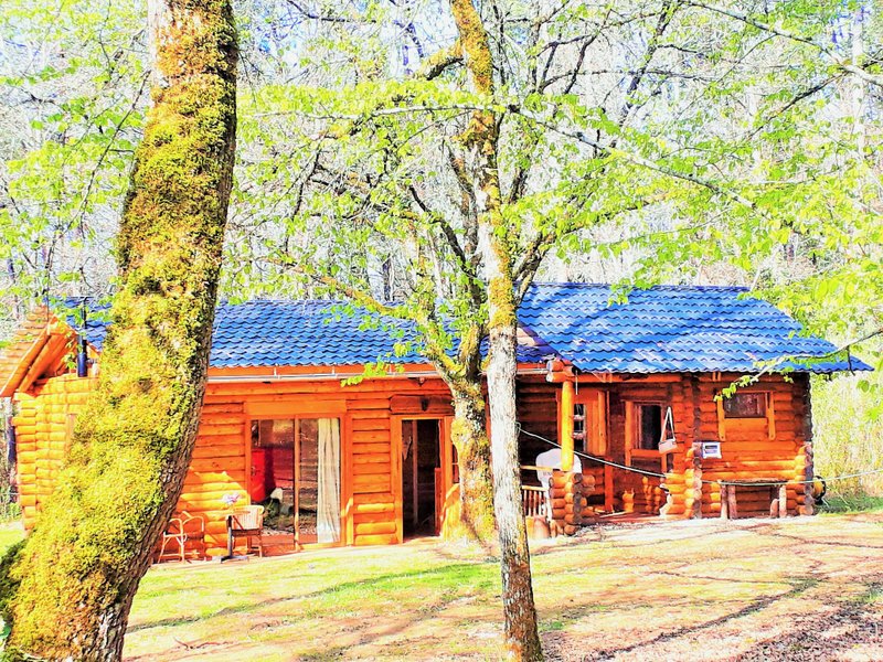 Hébergement AbracadaRoom : Magnifique Chalet en rondin en foret avec SPA en pleine nature - Image 6