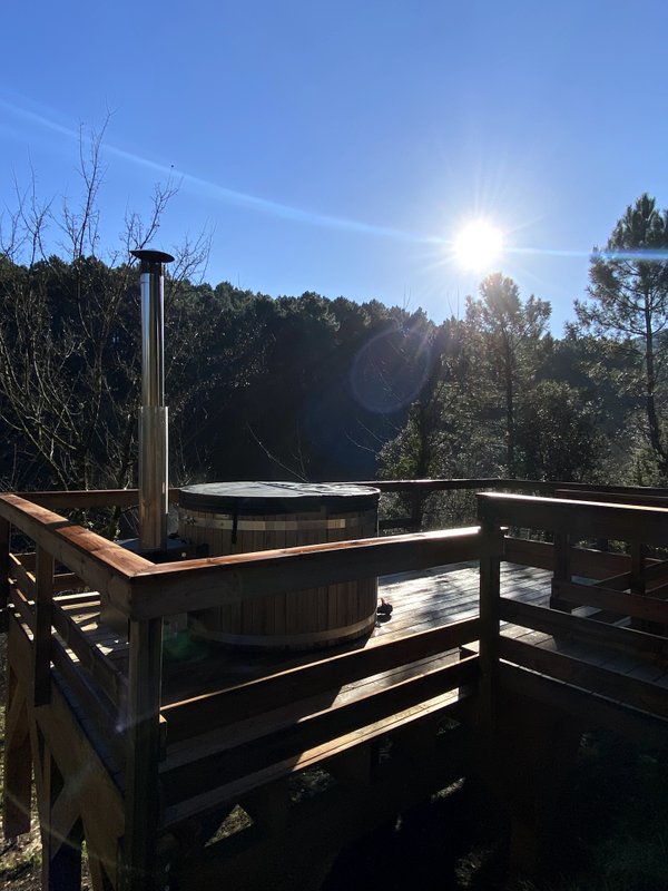 La Cabane Aéloria & Spa à Robiac-Rochessadoule (4)