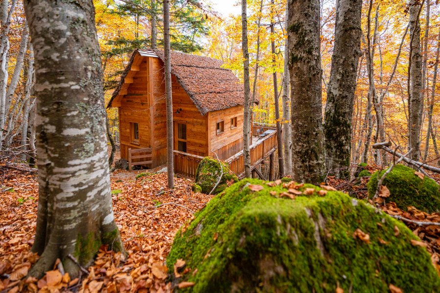 Hébergement AbracadaRoom : Cabane des Sylphes & Spa - Image 1