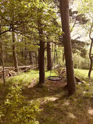 Hébergement AbracadaRoom : Roulotte Colibri - Image 15