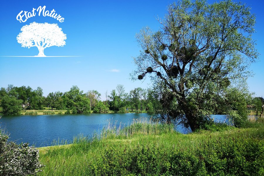 Domaine AbracadaRoom : Etat Nature - Image 3