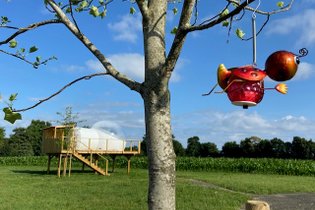 LES INSOLITES DE SOPHIE