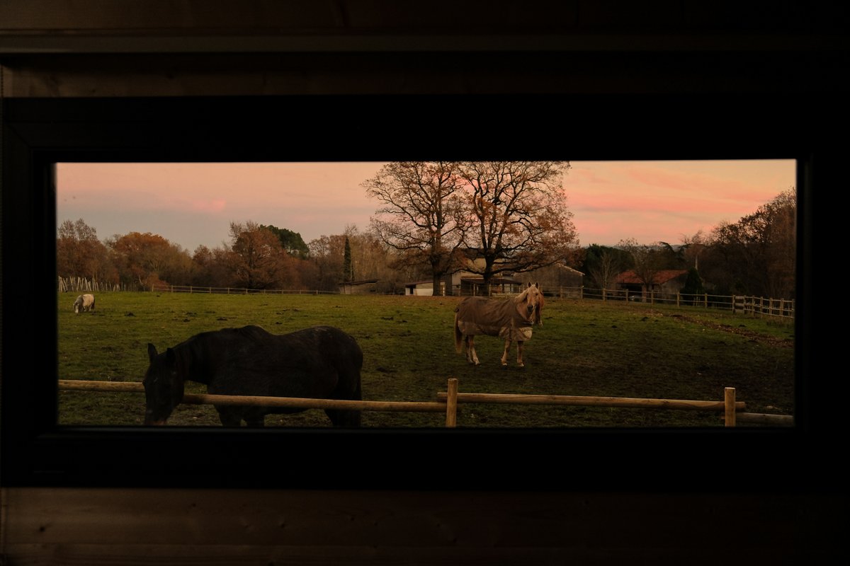 Homnest - Prairie des Âmes Heureuses - Occitanie à Puybegon (11)