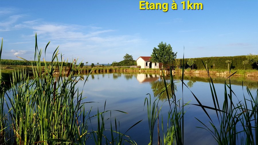 Hébergement AbracadaRoom : Chambre 4 -  3 pers. vue panoramique sur l’ensemble des chevaux - Image 6