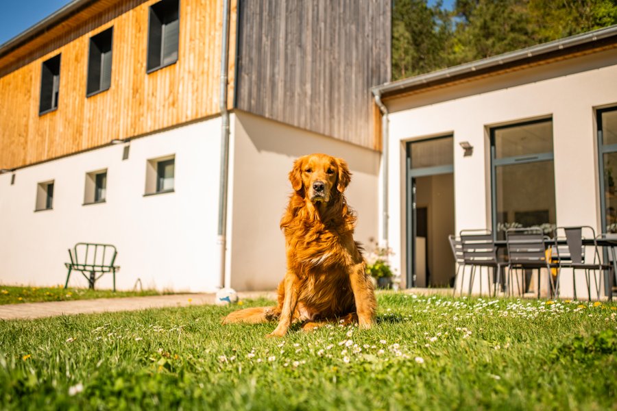 Hébergement AbracadaRoom : Dodomy House - Salamandre - Image 42
