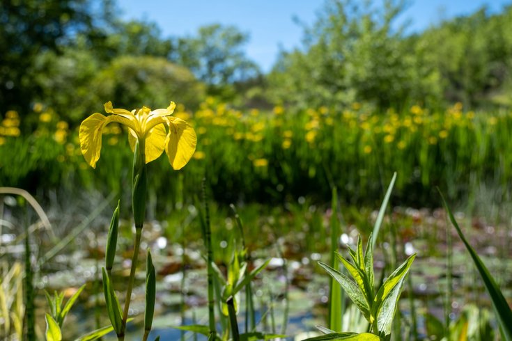 Domaine AbracadaRoom : Le Camp - Image 18