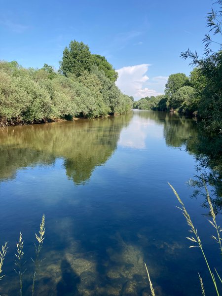 Hébergement AbracadaRoom : Tiny House de la Gravière - Image 7